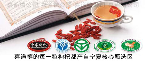            《藥膳正要》